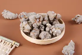 三七：俗称“金不换”，作用广效益高，这一整套栽培技术请收好图片
