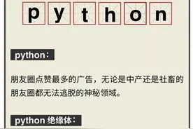 为什么到哪都躲不开Python的广告？图片