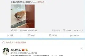 王思聪点赞罗志祥黑料，疑力挺周扬青，还直接称呼周扬青“青姐”图片