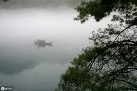 诗经·鄘风·柏舟图片