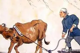老祖宗识人术：“腿长脚瘦，家财必漏”，啥意思？图片