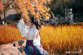 侠女的江湖图片