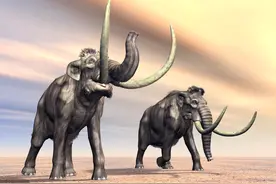 远古时代巨大的生物大规模出现，现代却很少见，地球生物在变小吗图片