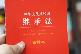 蚌埠首例，侄子申请继承叔叔遗产图片