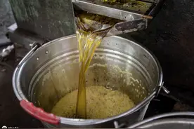 在农村，榨油坊榨油不要钱，用油渣抵扣加工费，其实榨油坊赚了钱图片