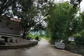 在乡村里走走顺便买个菠萝蜜图片