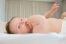 一生无子是一种什么体验？听听坚持丁克的康辉怎么说，你就明白了图片