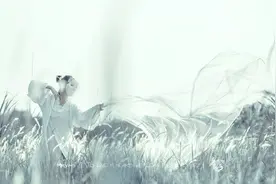 这首诗的作者绝不可能是李清照，绝不图片