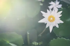 凡事看得开，生活自然嗨；成名每在穷苦日，败事多因得意时图片