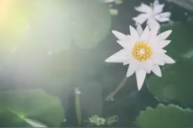 凡事看得开，生活自然嗨；成名每在穷苦日，败事多因得意时图片