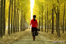 中年女性朋友拍照，双手无法安放苦恼吗？3个摄影技巧就解决图片