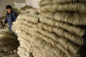 原来红薯粉条还有假的？记住“3不买”，为了家人健康，别忽视图片