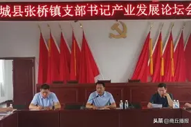 柘城县张桥镇：支部书记论坛会 凝聚产业发展合力图片