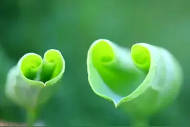 高情商女性沟通话术，好口才让你和伴侣越爱越浓图片