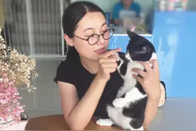 主人拿干花逗猫咪，小家伙超级配合，喵：带我走给亲亲哦图片