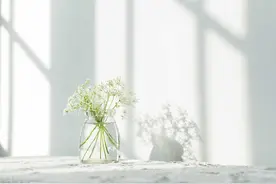 一个52岁丧偶女人的心声图片