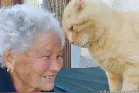 奶奶有橘猫作伴，10年后因地震分离，再重逢，它在废墟已等待4年图片