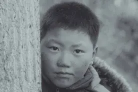 故事：真实的故事：我最好的伙伴---福子的一生图片