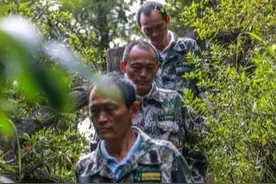贵州孪生三兄弟：38年，专注一件事，只为守护这片“绿”图片