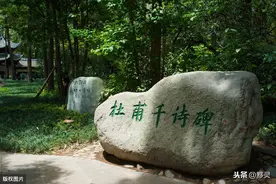杜甫一首《绝句》仅有四句，四个场景思之微妙，浑然天成图片