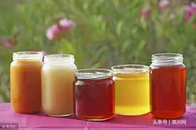 麦考瑞大学研究：近1/5澳洲蜂蜜掺假图片