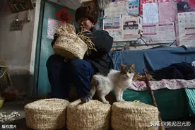 山东8旬老人编“蒲墩”，45岁以下人没见过这种“沙发”，看啥样图片