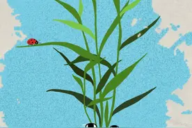 原创海报｜一粒种子的生命之旅图片