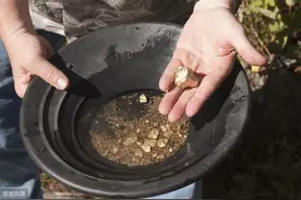 淘金热多疯狂：为淘金抽干湖水，挖出黄金珠宝让英国人一夜暴富图片