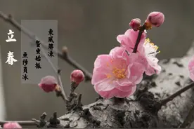 明日立春，农村老话说：“立春打了霜，当春会烂秧”咋理解？图片