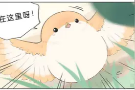 萌系治愈漫画：黑雁与小麻雀一起捉迷藏图片