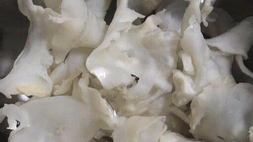 消化不好能吃花胶吗 2026年胃不好的人能吃花胶吗