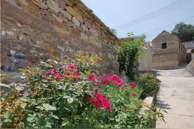 百名记者百村行 | 大山深处开起了“致富”农家乐！官庄街道三角湾村旅游促脱贫图片