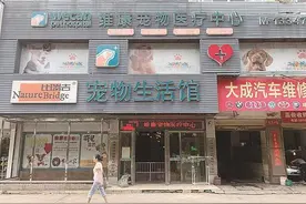 给宠物做绝育手术结果致死，天元区维康医疗被曝无证行医图片