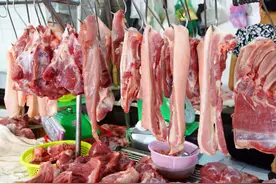 乡村散文：炖肉图片