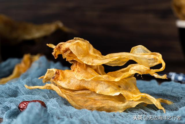 鱼胶泡水大概要泡多久才有效果 2026年鱼胶泡多长时间合适