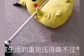 互怼表情包：不服你顺着网线来打我啊图片