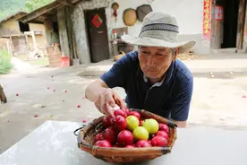 6旬农民夫妇大山里悉心照顾失明老母亲30年，计划着开间农家乐图片