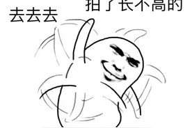 超火爆拍一拍表情包合集，快收下图片