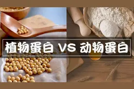 减肥一定要吃肉！都是补充蛋白质，为啥就不能吃植物蛋白？图片