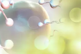 你的精子，都去哪了？远离弱精症，你要记牢这几点图片