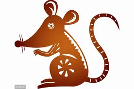 子鼠的由来图片