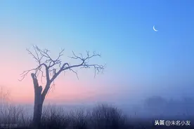 文艺 | 我一直向往的，是比远方更远的地方图片