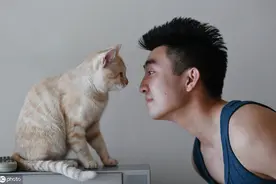 养猫知识分享：如何获得一只猫？途径有哪些？有什么注意事项？图片