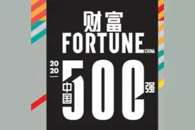 威水！黄埔4家牛企入围2020《财富》中国500强！其中1家营收破1500亿元……图片