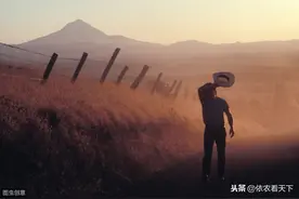 做农业跟风种植后多是恶果，跟风种植时满是无奈，虽难但未来可期图片