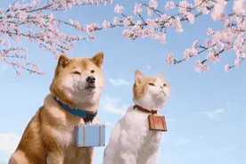 憋在家里如何赏樱？抖音这招够猛图片
