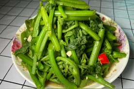 南瓜藤，以前拿来喂猪，现在请上餐桌，价格是南瓜的8倍图片