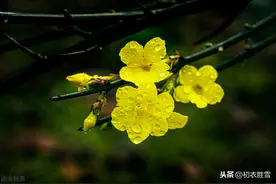 雨水节气，天一生水，赏读6首美丽的春水和春雨诗图片