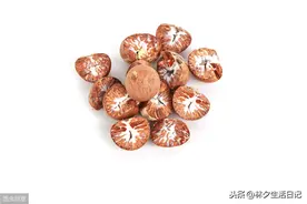 槟榔，槟榔图片