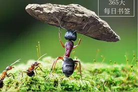 时光书签：365天，用书签陪你存储时光图片